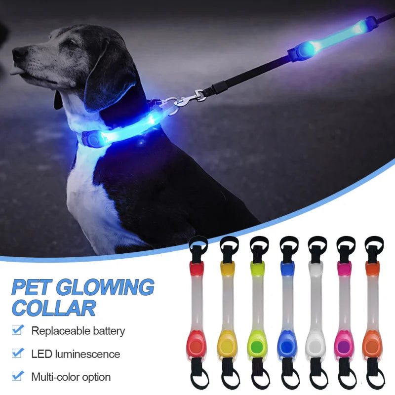 Dog Anti Lost Safety Glowing Collar Multi-Color Pendant